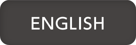 language switch to English